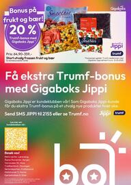 Gigaboks Kundeavis uke 22 Side 8