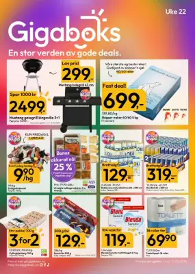Gigaboks Kundeavis (gyldig til 31-05)
