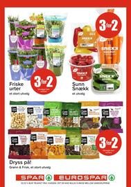 Spar Kundeavis uke 22 Side 17