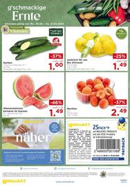 Unimarkt Flugblatt Seite 16
