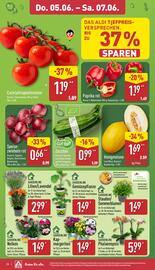 Aldi Nord Prospekt woche 23 Seite 26