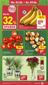 Aldi Nord Prospekt woche 23 Seite 3
