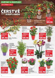Kaufland leták týden 22 Strana 12
