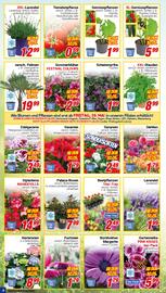 CENTERSHOP Prospekt woche 22 Seite 6