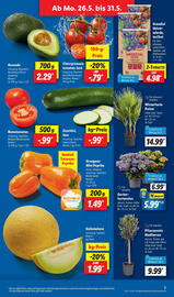 Lidl Prospekt woche 22 Seite 3