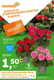 Globus Baumarkt Prospekt Seite 18