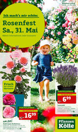 Pflanzen Kölle Prospekt woche 22 Seite 1