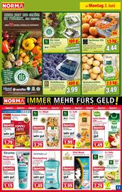Norma Flugblatt woche 23 Seite 13