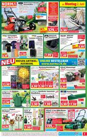 Norma Flugblatt woche 23 Seite 3