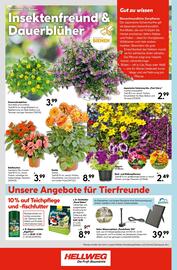 Hellweg Prospekt woche 22 Seite 24