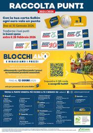 Volantino SeBón Supermercati Pagina 12