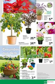 BayWa Prospekt woche 22 Seite 23