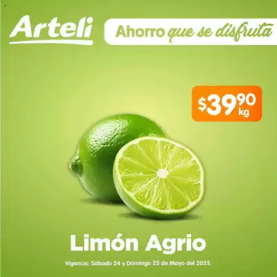Catálogo Arteli