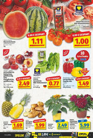 NP Discount Prospekt woche 22 Seite 17