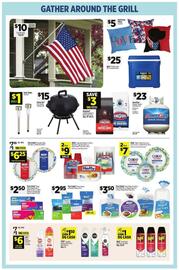 Dollar General Weekly Ad week 22 Page 5