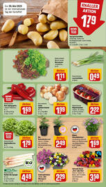 REWE Prospekt woche 22 Seite 7