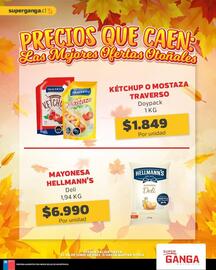 Catálogo Super Ganga Página 5