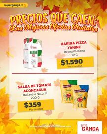 Catálogo Super Ganga Página 6