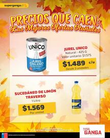 Catálogo Super Ganga Página 8