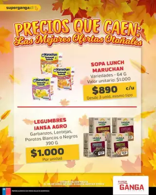Catálogo Super Ganga (válido hasta 9-06)