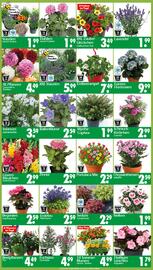 Wreesmann Prospekt woche 22 Seite 3