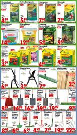 Wreesmann Prospekt woche 22 Seite 8
