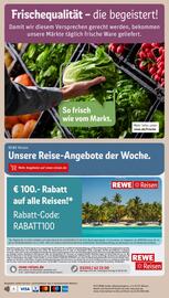 REWE PETZ Prospekt woche 22 Seite 30