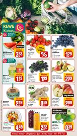 REWE PETZ Prospekt woche 22 Seite 6
