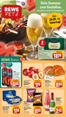 REWE PETZ Prospekt (gültig bis 1-06)