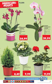 Catalog Kaufland săptămâna 22 Pagină 29