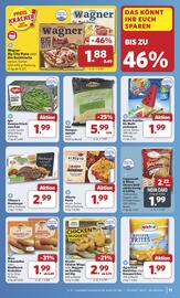 Jibi Markt Prospekt woche 22 Seite 13