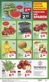 Jibi Markt Prospekt woche 22 Seite 3