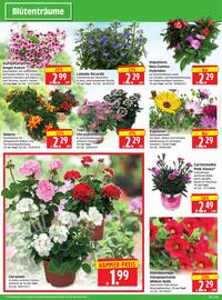 Herkules Baumarkt Prospekt woche 22 Seite 2