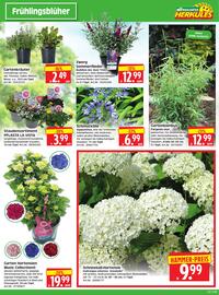Herkules Baumarkt Prospekt woche 22 Seite 3