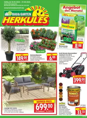Herkules Baumarkt Prospekt (gültig bis 31-05)