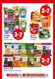 Eurospar Kundeavis uke 22 Side 16