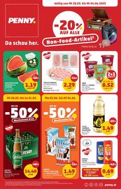 PENNY Flugblatt woche 22 Seite 1