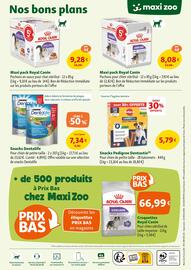 Catalogue Maxi Zoo semaine 22 page 12