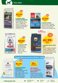 Catalogue Maxi Zoo semaine 22 page 4