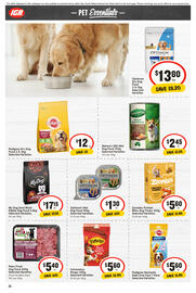 IGA catalogue week 22 Page 21