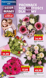 Lidl gazetka Strona 10