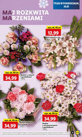 Lidl gazetka Strona 11