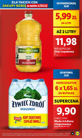 Lidl gazetka Strona 13