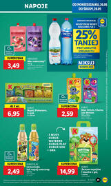 Lidl gazetka Strona 45