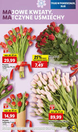 Lidl gazetka Strona 9