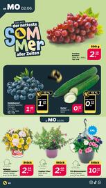 NETTO Prospekt woche 23 Seite 2