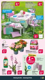 NETTO Prospekt woche 23 Seite 27