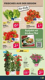 NETTO Prospekt woche 23 Seite 3