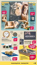 NETTO Prospekt woche 23 Seite 31
