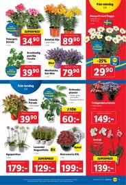 Lidl reklamblad vecka 23 Sida 20